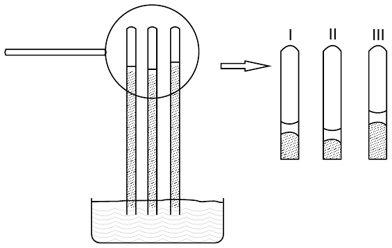 Três tubos barométricos mergulhados em uma cuba com mercúrio; o detalhe ampliado mostra o topo dos tubos I, II e III, cada um com uma coluna de mercúrio (pontilhada) e uma camada de líquido acima dela; as alturas das colunas de mercúrio diferem entre os tubos.