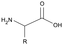 Fórmula estrutural: carbono ligado a um grupo H2N, a um grupo R e a um grupo carboxila (C com dupla ligação a O e ligação a OH).