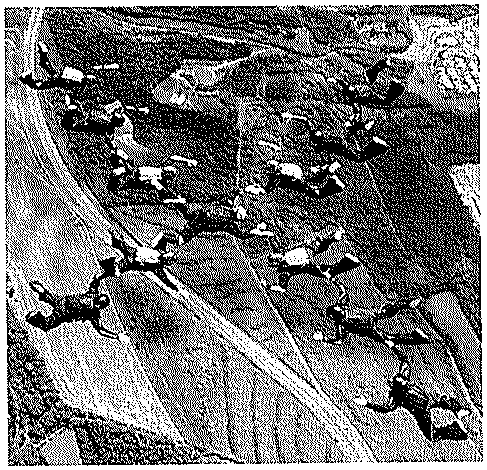 Fotografia aérea em preto e branco de vários paraquedistas em queda livre, de braços e pernas abertos, formando um grupo sobre uma paisagem vista do alto.