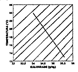 Diagrama T-S (B): temperatura (°C) de 12 a 26 e salinidade (g/kg) de 33 a 36, com isopicnais retas inclinadas; a curva T-S é uma reta que desce da esquerda para a direita, de aproximadamente (34; 24 °C) a (35,6; 13 °C).