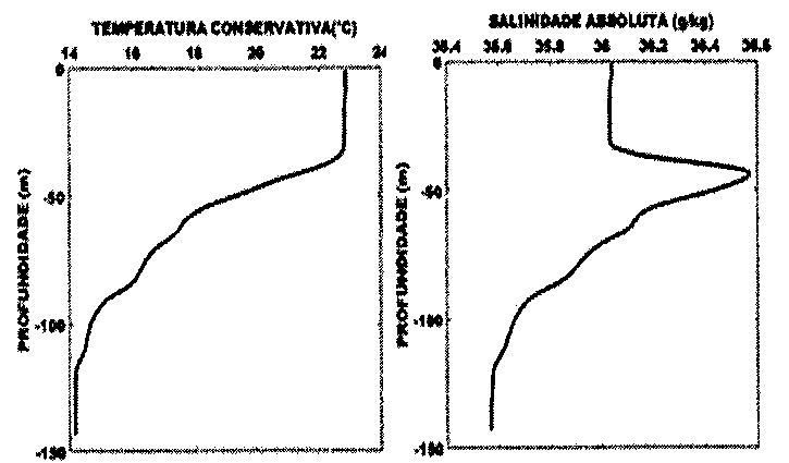 Dois gráficos de perfis verticais, de 0 a -150 m de profundidade. À esquerda, temperatura conservativa (°C, de 14 a 24): cerca de 23 °C da superfície até aproximadamente 35 m, diminuindo depois de forma gradual até cerca de 14,5 °C no fundo. À direita, salinidade absoluta (g/kg, de 35,4 a 36,6): cerca de 36,05 até aproximadamente 35 m, com máximo de cerca de 36,5 perto de 45 m, diminuindo depois até cerca de 35,6 no fundo.