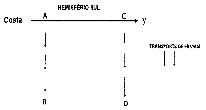 Esquema intitulado Hemisfério Sul: à esquerda, a palavra Costa; dela parte o eixo y, com o ponto A mais próximo da costa e o ponto C mais afastado. Abaixo de A, a radial AB tem três setas de transporte de Ekman de mesmo comprimento, apontando de A para B. Abaixo de C, a radial CD tem três setas apontando de C para D, cada vez mais longas no sentido de D. Legenda à direita: transporte de Ekman, com duas setas.