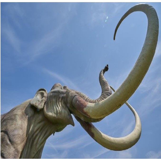 Fotografia de uma escultura de mamute vista de baixo para cima, com presas longas e curvas e a tromba erguida, contra um céu azul.