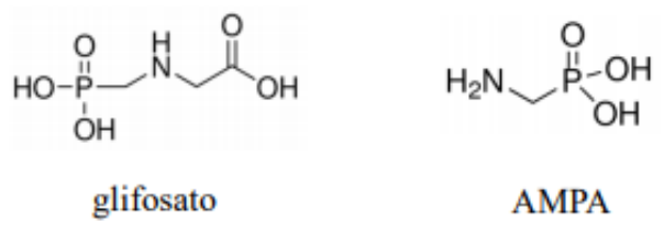 Fórmulas estruturais do glifosato (HO–P(=O)(OH)–CH₂–NH–CH₂–COOH) e do AMPA (H₂N–CH₂–P(=O)(OH)₂).