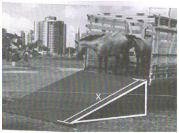 Fotografia de um caminhão com cavalos na carroceria; uma rampa desenhada em branco liga o solo à carroceria, com o comprimento indicado por X.