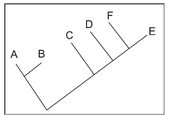 Cladograma: A e B formam um grupo; C, D, F e E se ligam em sequência ao longo do eixo principal, com E na extremidade superior direita.
