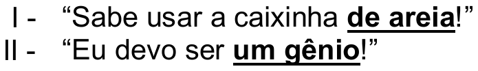 I - “Sabe usar a caixinha de areia!”, com “de areia” em negrito e sublinhado; II - “Eu devo ser um gênio!”, com “um gênio” em negrito e sublinhado.