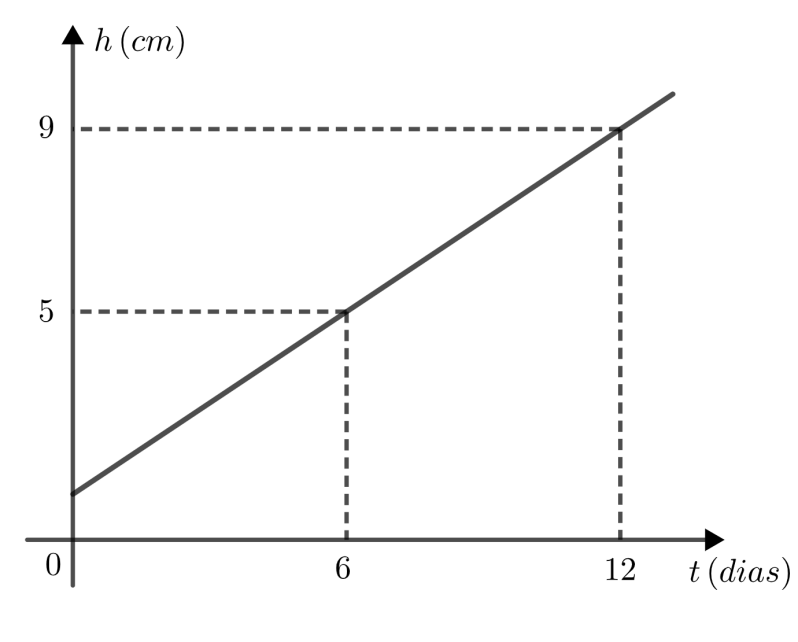 Gráfico: eixo vertical h (cm) e eixo horizontal t (dias). Uma reta crescente parte de um ponto positivo do eixo vertical e passa pelos pontos (6, 5) e (12, 9), indicados por linhas tracejadas.