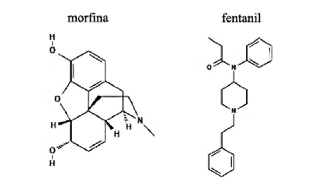 Estruturas moleculares identificadas pelos rótulos morfina (estrutura policíclica com duas hidroxilas, ponte éter e nitrogênio metilado) e fentanil (piperidina ligada a N-fenilpropanamida e a um grupo feniletila).