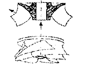 Segundo desenho: corte de rotor com escoamento entrando axialmente e saindo em direção inclinada, e vista em perspectiva do rotor com pás torcidas.