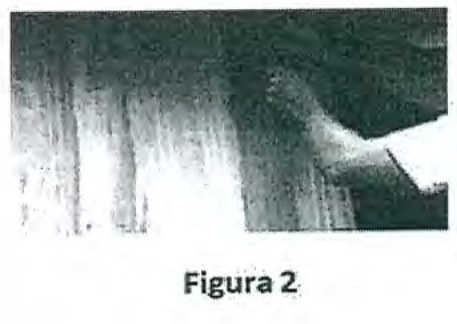 Figura 2: fotografia de parede de madeira.