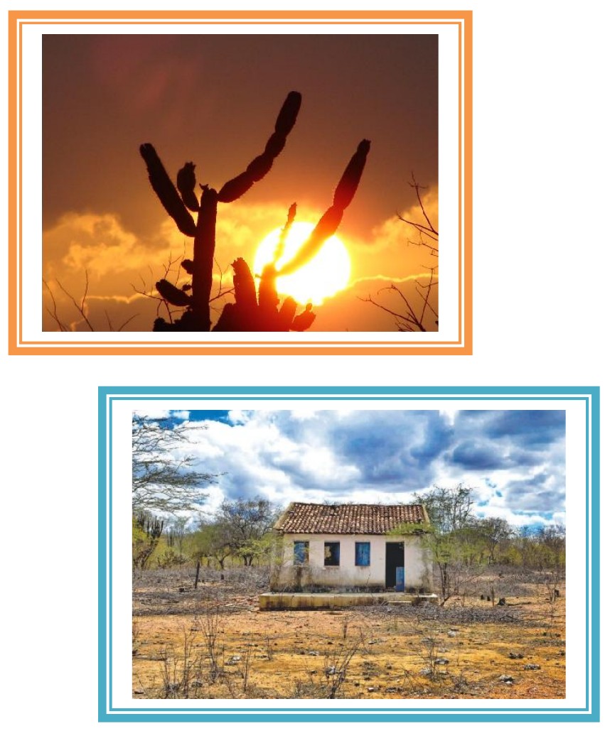Duas fotografias em molduras: um cacto em silhueta diante do sol poente em céu alaranjado; e uma casa simples de alvenaria em terreno seco, com vegetação de caatinga sem folhas e céu com nuvens.