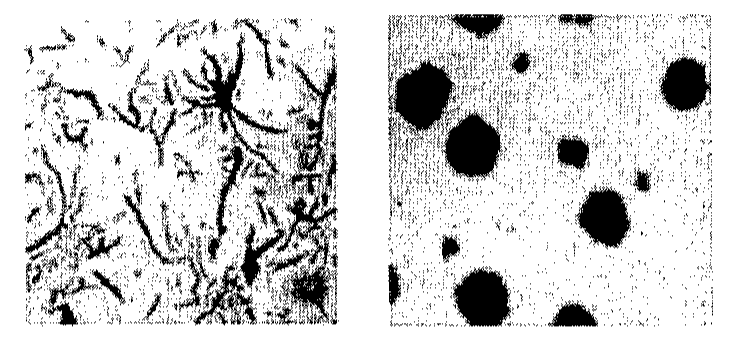 Duas micrografias lado a lado: à esquerda, matriz clara com veios escuros alongados e ramificados; à direita, partículas escuras arredondadas dispersas em matriz clara.