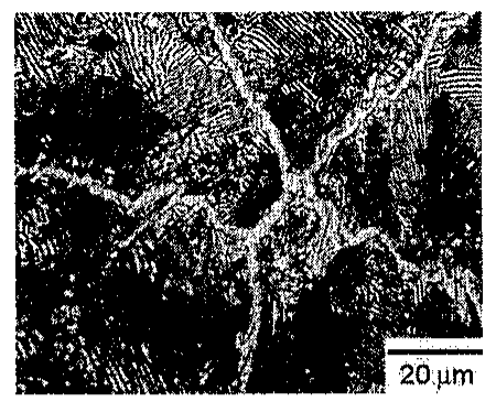 Micrografia de liga de aço com regiões lamelares escuras separadas por uma rede contínua clara nos contornos, com barra de escala de 20 µm.