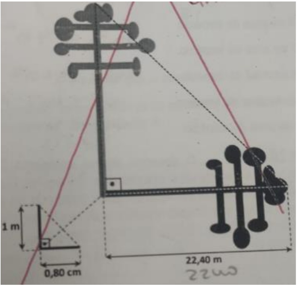 Fotografia de figura impressa: pinheiro estilizado em pé, com ângulo reto na base e sombra horizontal indicada como 22,40 m; à esquerda, estaca de 1 m com sombra de 0,80 cm; linhas tracejadas ligam o topo de cada objeto ao fim de sua sombra. Há traços em vermelho e anotação manuscrita sobre a figura.