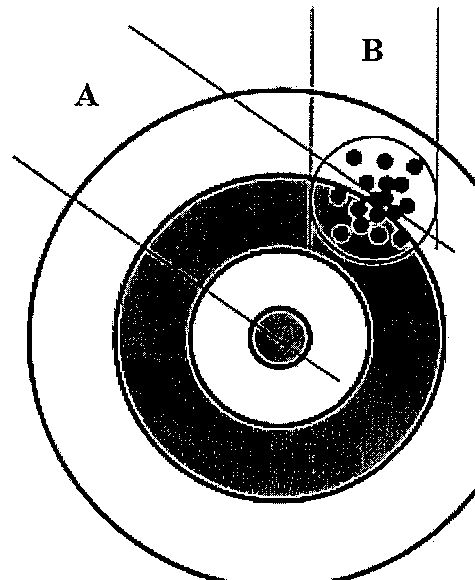 Alvo circular com centro marcado e um agrupamento de impactos fora do centro; a distância A vai do centro do alvo ao agrupamento e a distância B corresponde à dispersão dos impactos dentro do agrupamento.