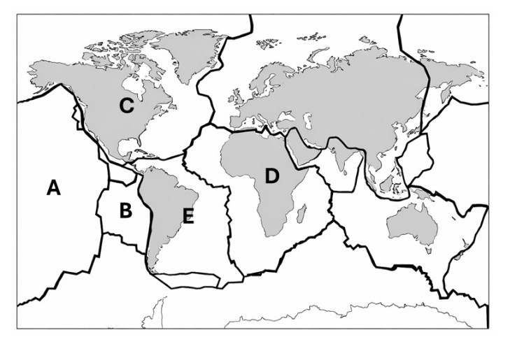 Mapa-múndi com os limites das principais placas tectônicas; as letras A, B, C, D e E indicam placas: C na América do Norte, A no oceano Pacífico a oeste da América do Sul, B entre A e a América do Sul, E na América do Sul e D na África.