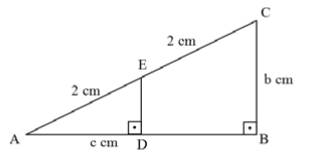 Triângulo ABC retângulo em B, com A à esquerda, B à direita e C acima de B; BC mede b cm. E está na hipotenusa AC, com AE = 2 cm e EC = 2 cm; ED é perpendicular a AB, com D em AB e AD = c cm.