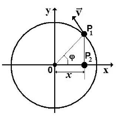 Circunferência centrada na origem 0 dos eixos x e y; o ponto P₁ na circunferência, no primeiro quadrante, com o vetor velocidade v tangente; o raio até P₁ forma o ângulo φ com o eixo x; P₂ é a projeção de P₁ sobre o eixo x, à distância x da origem.