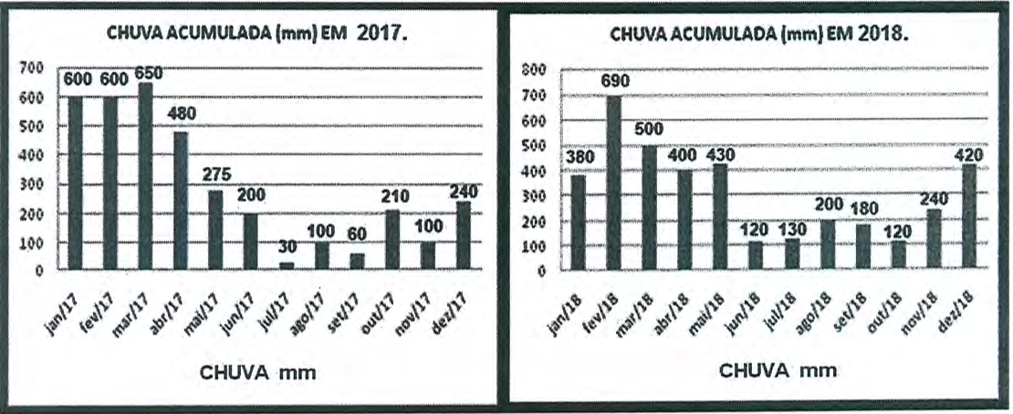 Dois gráficos de barras lado a lado. "CHUVA ACUMULADA (mm) EM 2017": jan/17 600, fev/17 600, mar/17 650, abr/17 480, mai/17 275, jun/17 200, jul/17 30, ago/17 100, set/17 60, out/17 210, nov/17 100, dez/17 240. "CHUVA ACUMULADA (mm) EM 2018": jan/18 380, fev/18 690, mar/18 500, abr/18 400, mai/18 430, jun/18 120, jul/18 130, ago/18 200, set/18 180, out/18 120, nov/18 240, dez/18 420. Eixo horizontal: CHUVA mm.