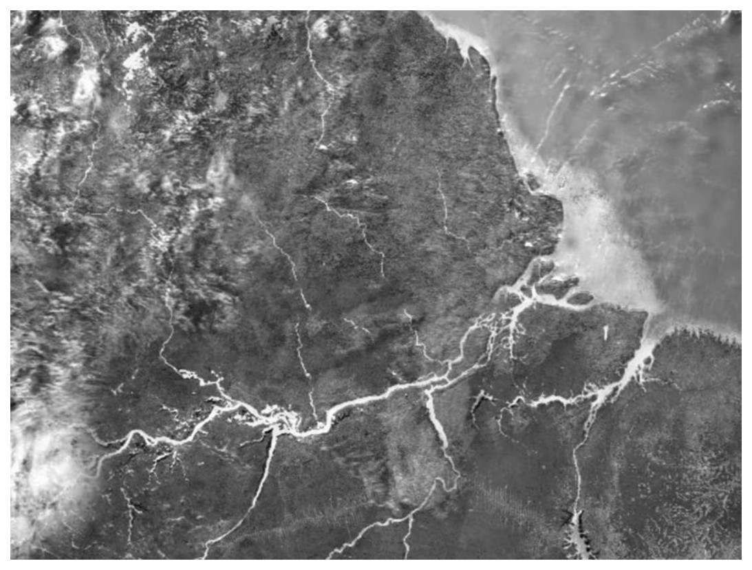 Imagem de satélite em tons de cinza mostrando a foz do rio Amazonas, com o rio e seus canais em tom claro atravessando a área continental até a costa, entre o Amapá e a ilha de Marajó.