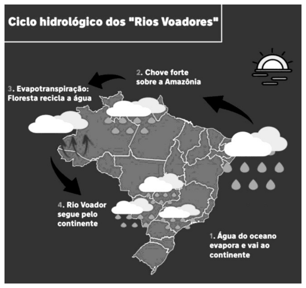 Infográfico "Ciclo hidrológico dos 'Rios Voadores'" sobre o mapa do Brasil, com nuvens, gotas e setas numeradas: 1. Água do oceano evapora e vai ao continente; 2. Chove forte sobre a Amazônia; 3. Evapotranspiração: Floresta recicla a água; 4. Rio Voador segue pelo continente.