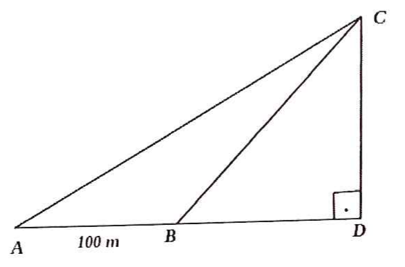 Croqui: triângulo retângulo com ângulo reto em D; pontos A, B e D alinhados na base, com AB = 100 m; C no topo do cateto vertical acima de D; segmentos AC e BC ligam A e B ao ponto C.