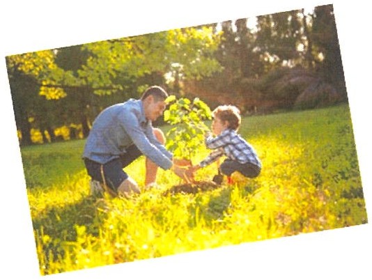 Fotografia: um homem e um menino, agachados na grama sob a luz do sol, plantam juntos uma pequena árvore.