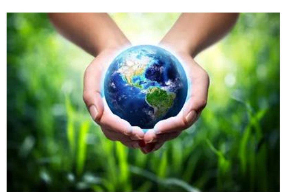 Fotografia de duas mãos em concha segurando o planeta Terra, com fundo de vegetação verde.