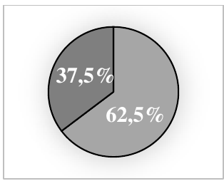 Gráfico de setores com as fatias 37,5% e 62,5%.
