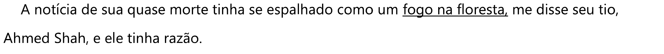 A notícia de sua quase morte tinha se espalhado como um fogo na floresta, me disse seu tio, Ahmed Shah, e ele tinha razão. Sublinhado: “fogo na floresta”.