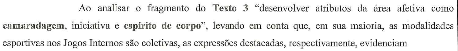 Ao analisar o fragmento do Texto 3 “desenvolver atributos da área afetiva como camaradagem, iniciativa e espírito de corpo”, levando em conta que, em sua maioria, as modalidades esportivas nos Jogos Internos são coletivas, as expressões destacadas, respectivamente, evidenciam — no original, “camaradagem” e “espírito de corpo” estão em negrito.