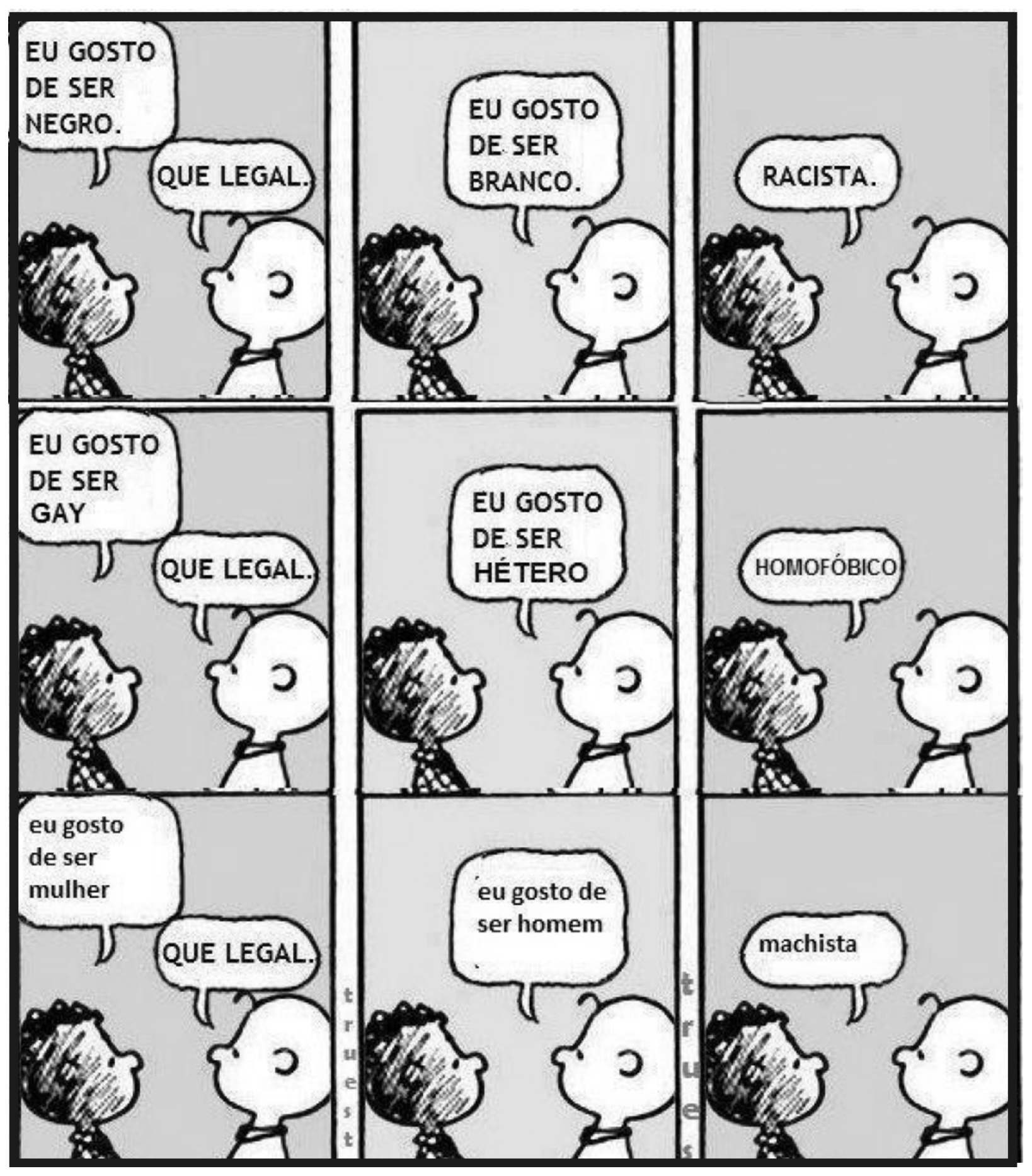 Charge em nove quadrinhos com personagens no estilo Peanuts, em três linhas. Em cada linha, um personagem negro diz “Eu gosto de ser negro”, “Eu gosto de ser gay” e “eu gosto de ser mulher”, e o outro responde “Que legal.”; quando o personagem branco diz “Eu gosto de ser branco”, “Eu gosto de ser hétero” e “eu gosto de ser homem”, ouve “Racista.”, “Homofóbico” e “machista”.