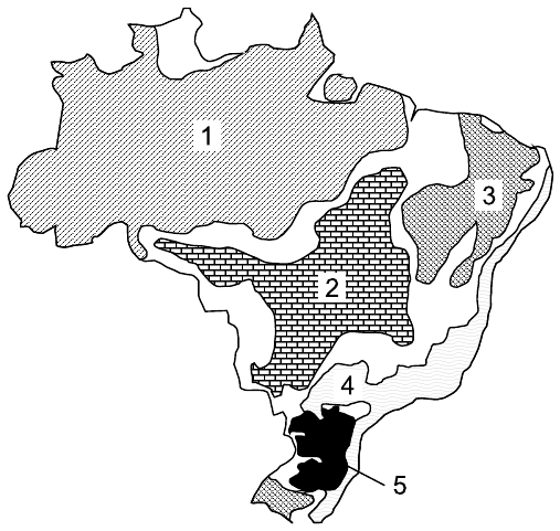 Mapa do Brasil dividido em domínios morfoclimáticos com hachuras diferentes e cinco áreas numeradas: 1 na maior parte da Região Norte (Amazônia); 2 no Brasil central; 3 no interior do Nordeste; 4 em uma faixa no Sul, a leste da área 5; 5 em preto, nos planaltos do Sul. Faixas sem número representam as áreas de transição.