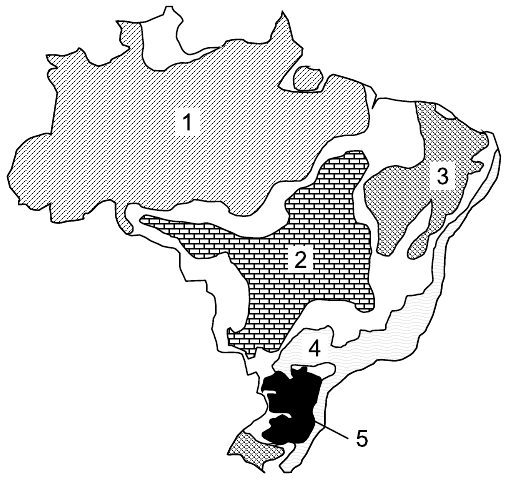 Mapa do Brasil dividido em domínios morfoclimáticos com hachuras diferentes e cinco áreas numeradas: 1 na maior parte da Região Norte (Amazônia); 2 no Brasil central; 3 no interior do Nordeste; 4 em uma faixa no Sul, a leste da área 5; 5 em preto, nos planaltos do Sul. Faixas sem número representam as áreas de transição.