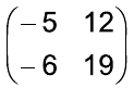Matriz 2×2: primeira linha –5 e 12; segunda linha –6 e 19.