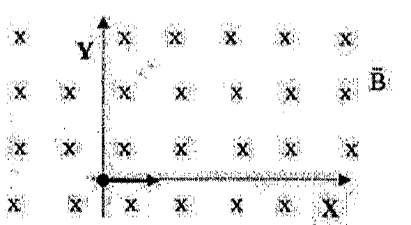 Eixos X e Y com a partícula na origem e vetor velocidade apontando no sentido positivo de X, em região de campo magnético B entrando no plano (símbolos x).