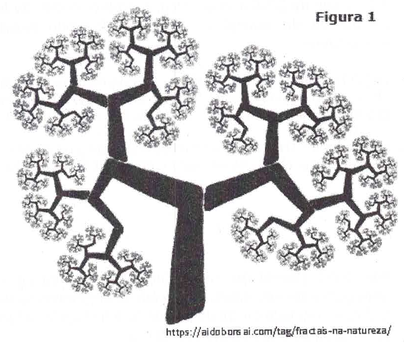 Figura 1: desenho de uma árvore fractal cujos galhos se dividem repetidamente em galhos menores semelhantes. Fonte: https://aidobonsai.com/tag/fractais-na-natureza/