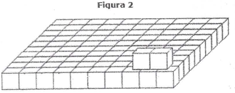 Figura 2: primeira camada de caixas cúbicas, com 10 por 10 caixas, e duas caixas colocadas sobre ela iniciando a segunda camada.