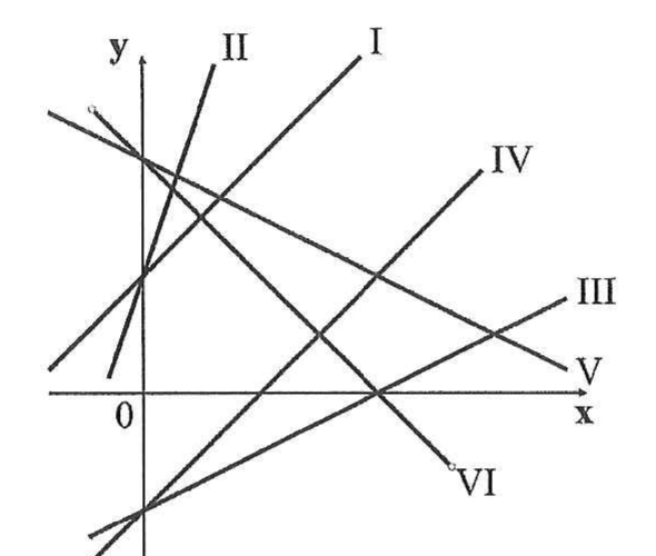 Plano cartesiano com seis retas numeradas de I a VI: as retas I e II são crescentes e cortam o eixo y acima da origem, II mais inclinada que I; IV e III são crescentes e cortam o eixo y abaixo da origem, IV mais inclinada que III; V e VI são decrescentes partindo de um ponto alto do eixo y, VI mais inclinada que V.