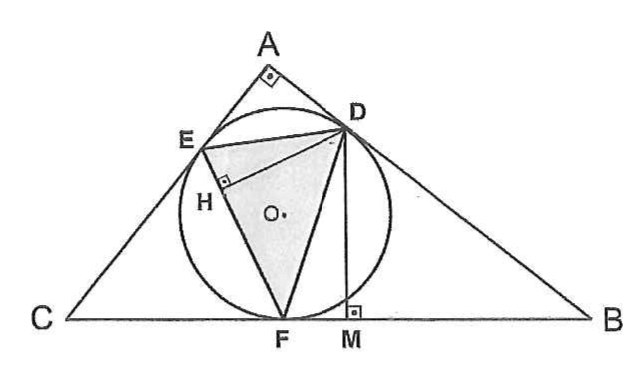 Triângulo ABC retângulo em A com circunferência inscrita de centro O tangente aos lados nos pontos D, E e F; triângulo DEF sombreado com a altura DH; segmento DM perpendicular a CB com M em CB.