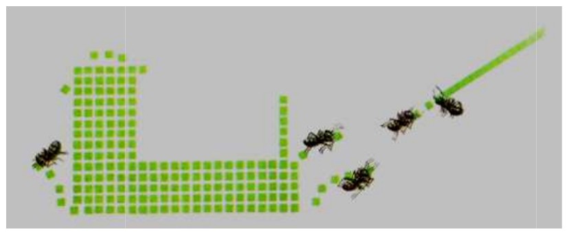 Ilustração de formigas carregando quadradinhos verdes, desmontando um bloco de quadradinhos e organizando-os em uma fila.