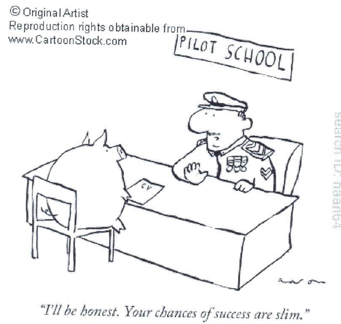 Charge: um porco sentado diante da mesa de um militar, sob a placa PILOT SCHOOL, com um currículo (CV) sobre a mesa. Legenda: “I’ll be honest. Your chances of success are slim.”