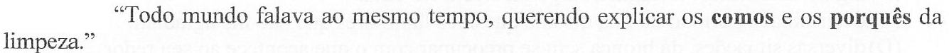 Trecho: “Todo mundo falava ao mesmo tempo, querendo explicar os comos e os porquês da limpeza.” As palavras “comos” e “porquês” estão em negrito (destacadas).