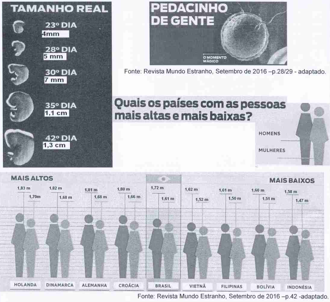 Infográficos da revista Mundo Estranho. 'Tamanho real' do embrião: 23º dia 4mm; 28º dia 5 mm; 30º dia 7 mm; 35º dia 1,1 cm; 42º dia 1,3 cm, com o título 'Pedacinho de gente'. 'Quais os países com as pessoas mais altas e mais baixas?', alturas de homens e mulheres: Holanda 1,83 m e 1,70m; Dinamarca 1,82 m e 1,68 m; Alemanha 1,81 m e 1,68 m; Croácia 1,80 m e 1,66 m; Brasil 1,72 m e 1,61 m; Vietnã 1,62 m e 1,52 m; Filipinas 1,61 m e 1,50 m; Bolívia 1,60 m e 1,51 m; Indonésia 1,58 m e 1,47 m. Fontes: Revista Mundo Estranho, Setembro de 2016, p.28/29 e p.42, adaptado.