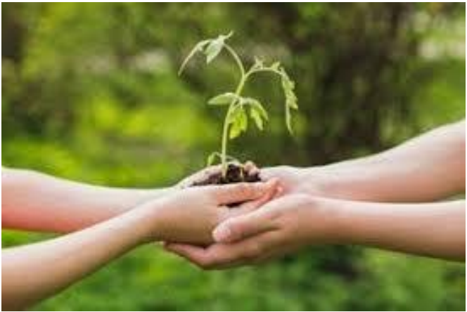 Fotografia: duas mãos de criança seguram um punhado de terra com uma pequena muda de planta, amparadas por baixo pelas mãos de um adulto, com fundo verde desfocado.