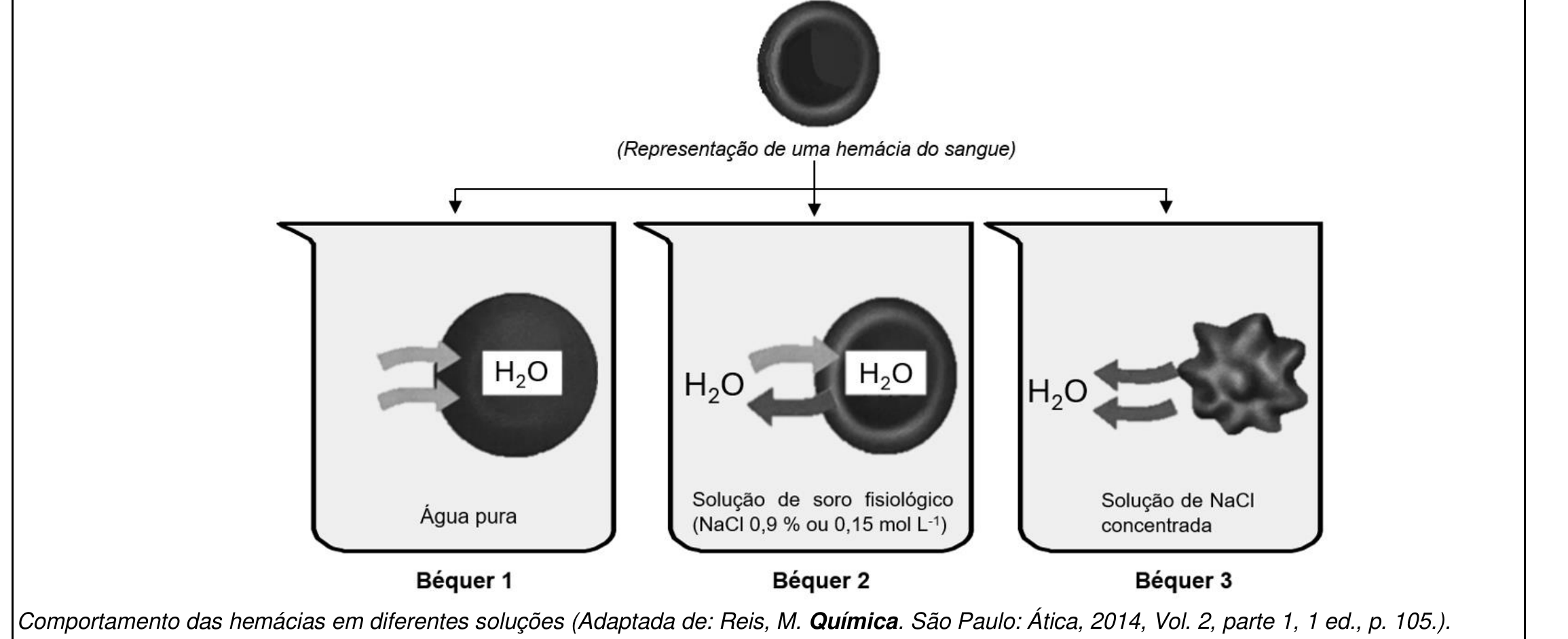 Representação de uma hemácia do sangue e de três béqueres. Béquer 1 (água pura): setas de H₂O entrando na hemácia, que aparece inchada. Béquer 2 (solução de soro fisiológico, NaCl 0,9 % ou 0,15 mol L⁻¹): setas de H₂O entrando e saindo, hemácia normal. Béquer 3 (solução de NaCl concentrada): setas de H₂O saindo, hemácia murcha e enrugada. Legenda: Comportamento das hemácias em diferentes soluções (Adaptada de: Reis, M. Química. São Paulo: Ática, 2014, Vol. 2, parte 1, 1 ed., p. 105.).