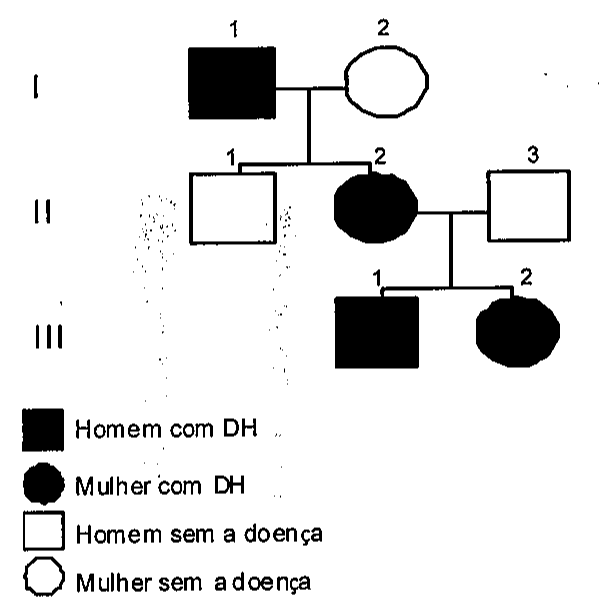 Heredograma de três gerações: geração I com homem afetado (I.1) e mulher não afetada (I.2); geração II com homem não afetado (II.1), mulher afetada (II.2) casada com homem não afetado (II.3); geração III com homem afetado (III.1) e mulher afetada (III.2), filhos de II.2 e II.3. Legenda: quadrado preto = homem com DH; círculo preto = mulher com DH; quadrado branco = homem sem a doença; círculo branco = mulher sem a doença.