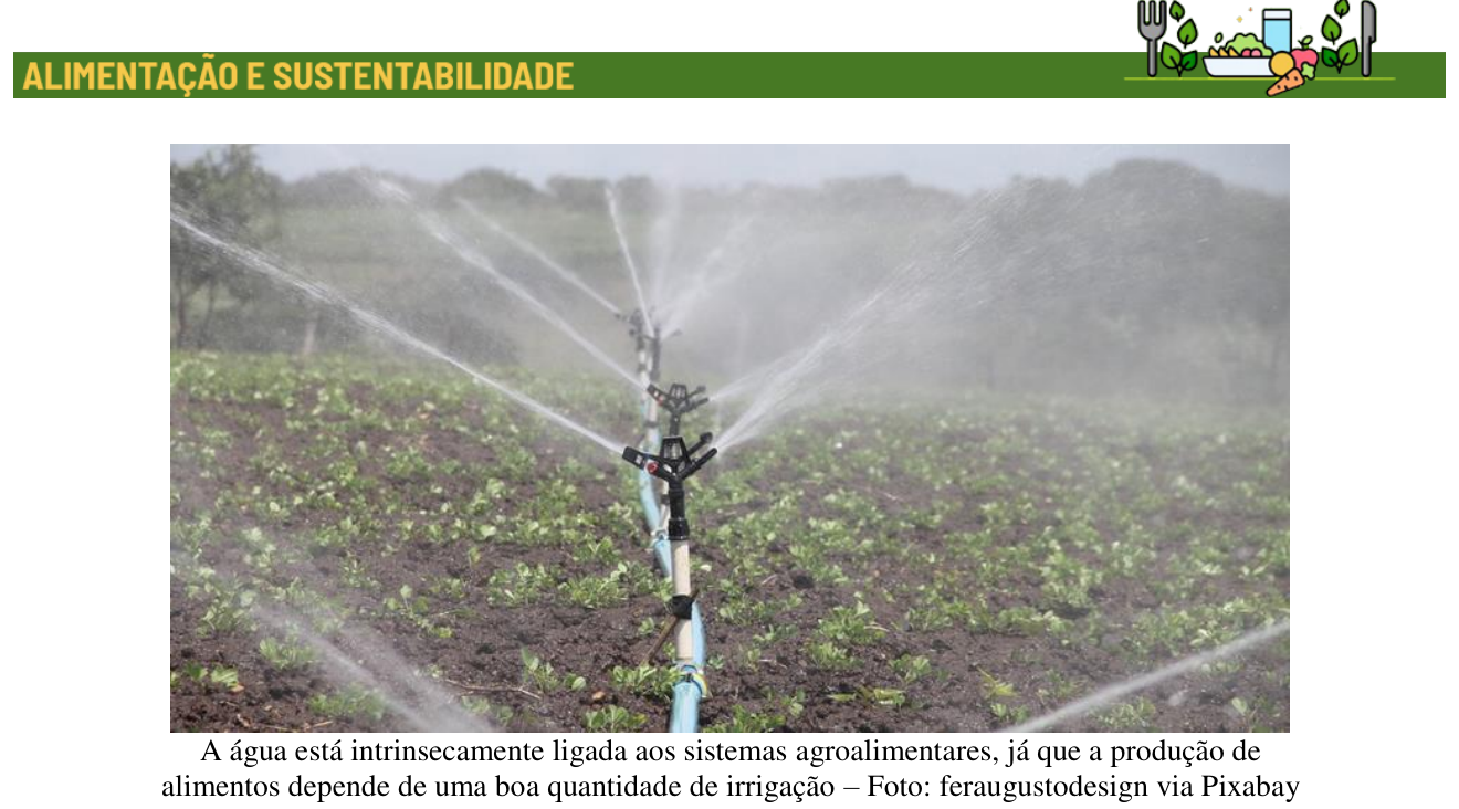 Faixa "ALIMENTAÇÃO E SUSTENTABILIDADE" e fotografia de aspersores irrigando uma plantação. Legenda: A água está intrinsecamente ligada aos sistemas agroalimentares, já que a produção de alimentos depende de uma boa quantidade de irrigação – Foto: feraugustodesign via Pixabay.