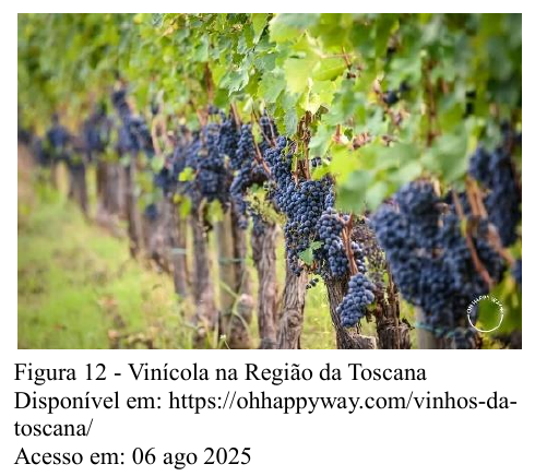 Figura 12: cachos de uva em uma vinícola na região da Toscana. Fonte: https://ohhappyway.com/vinhos-da-toscana/ Acesso em: 06 ago 2025.